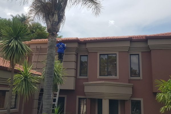 276108253_2615360608593974_1235068455444457192_n